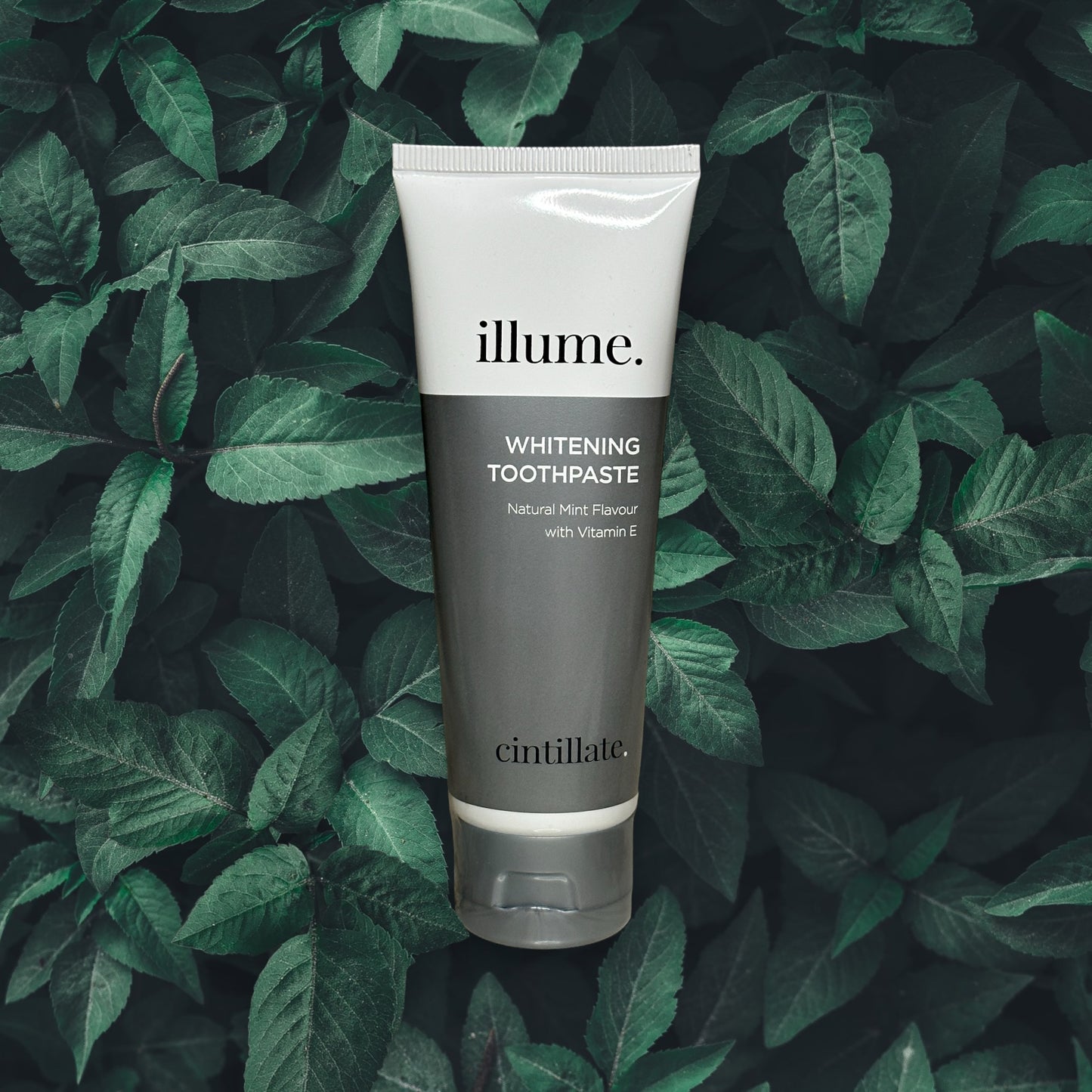 Illume Whitening Toothpaste